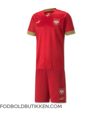 Serbien Hjemmebanetrøje Børn VM 2022 Kortærmet (+ Korte bukser)